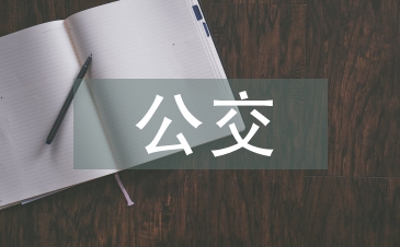 公交调查报告