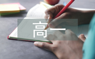 高一学年教师个人总结