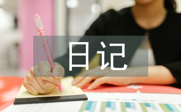 小学二年级日记