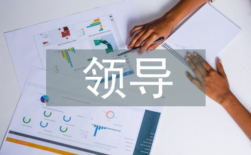 领导年中总结