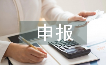 申报工作汇报