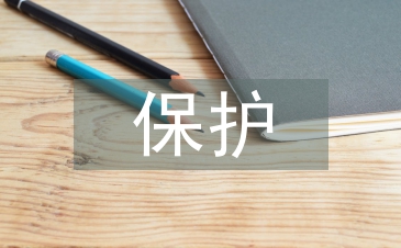 非物质文化遗产下传统武术保护分析