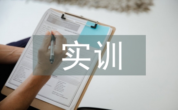 助教实训总结