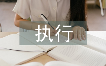 执行局长述职报告