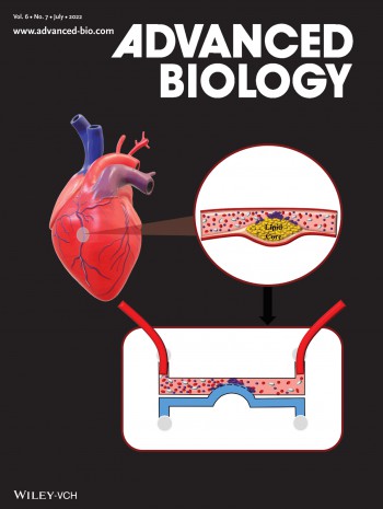高级生物学