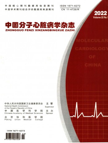 中国分子心脏病学