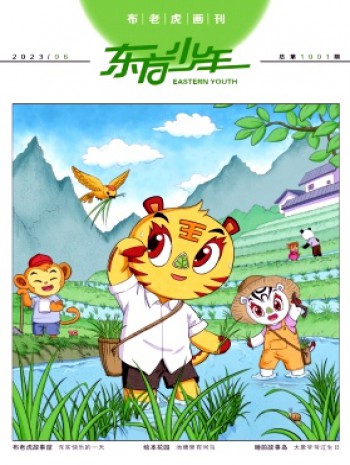 东方少年·布老虎画刊